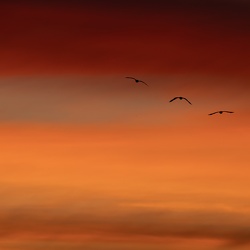 Jaune, Orange & Rouge