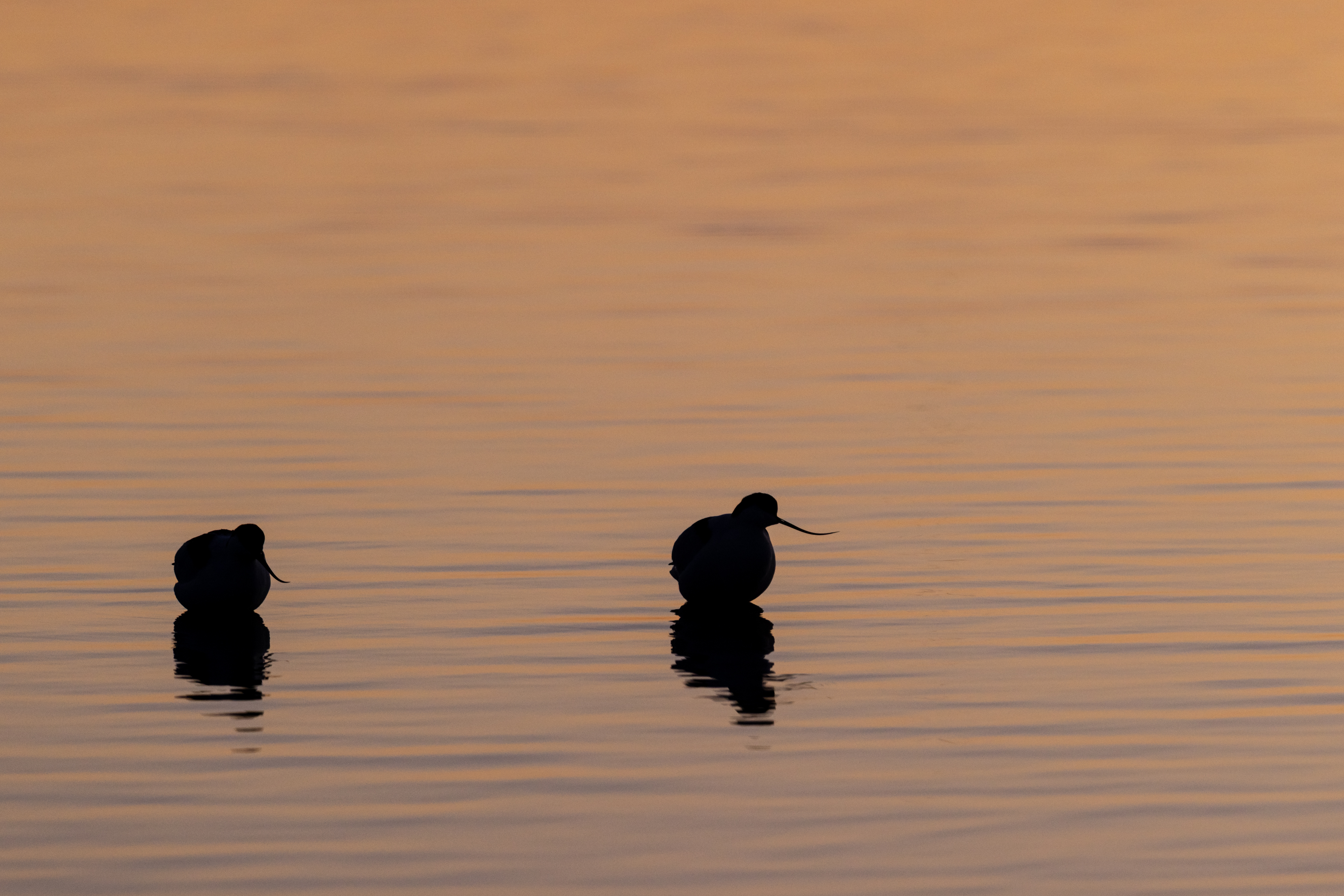 LeTeich_20221217_59183.jpg