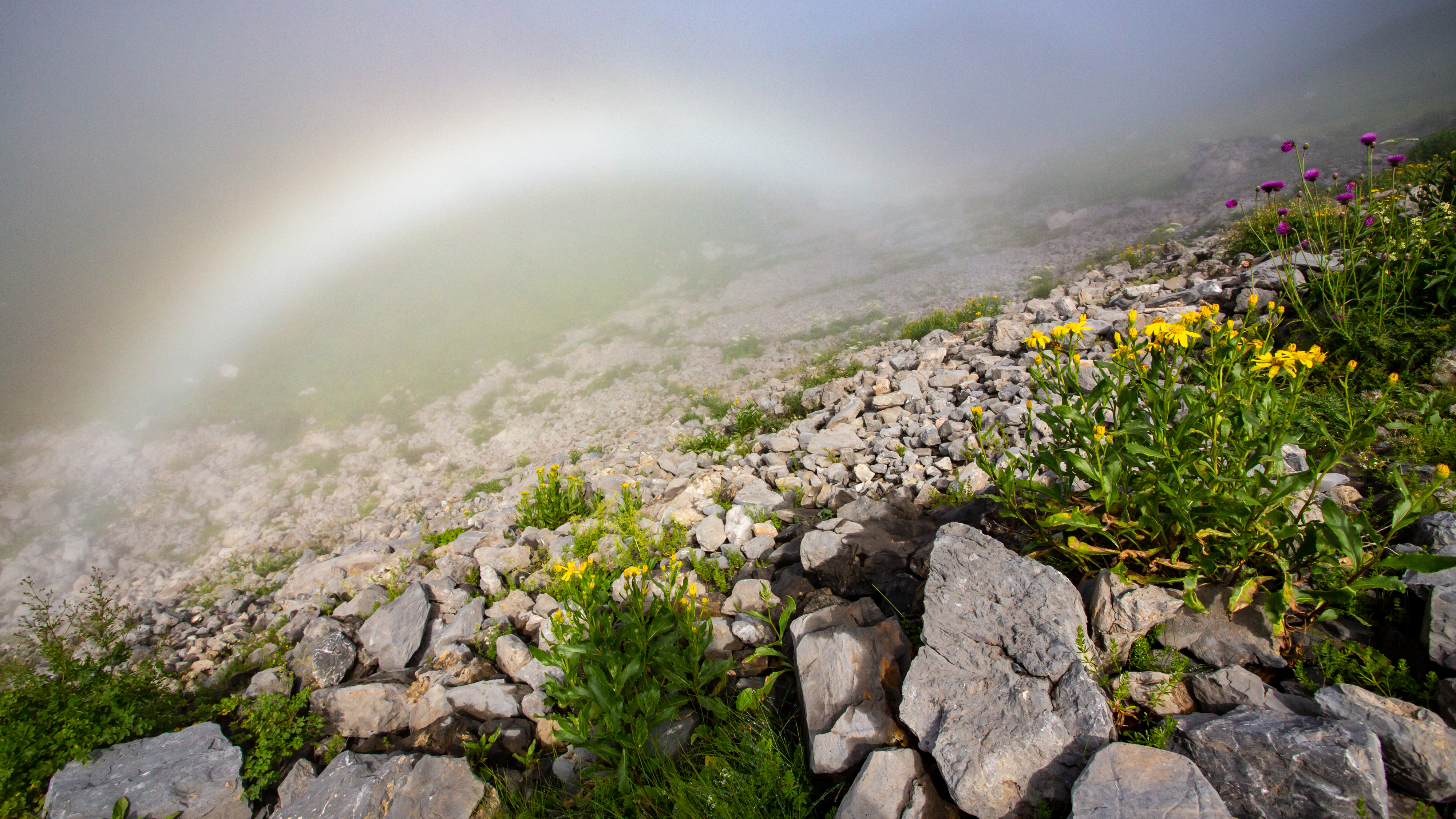 Lauriolle_140812_5001.jpg